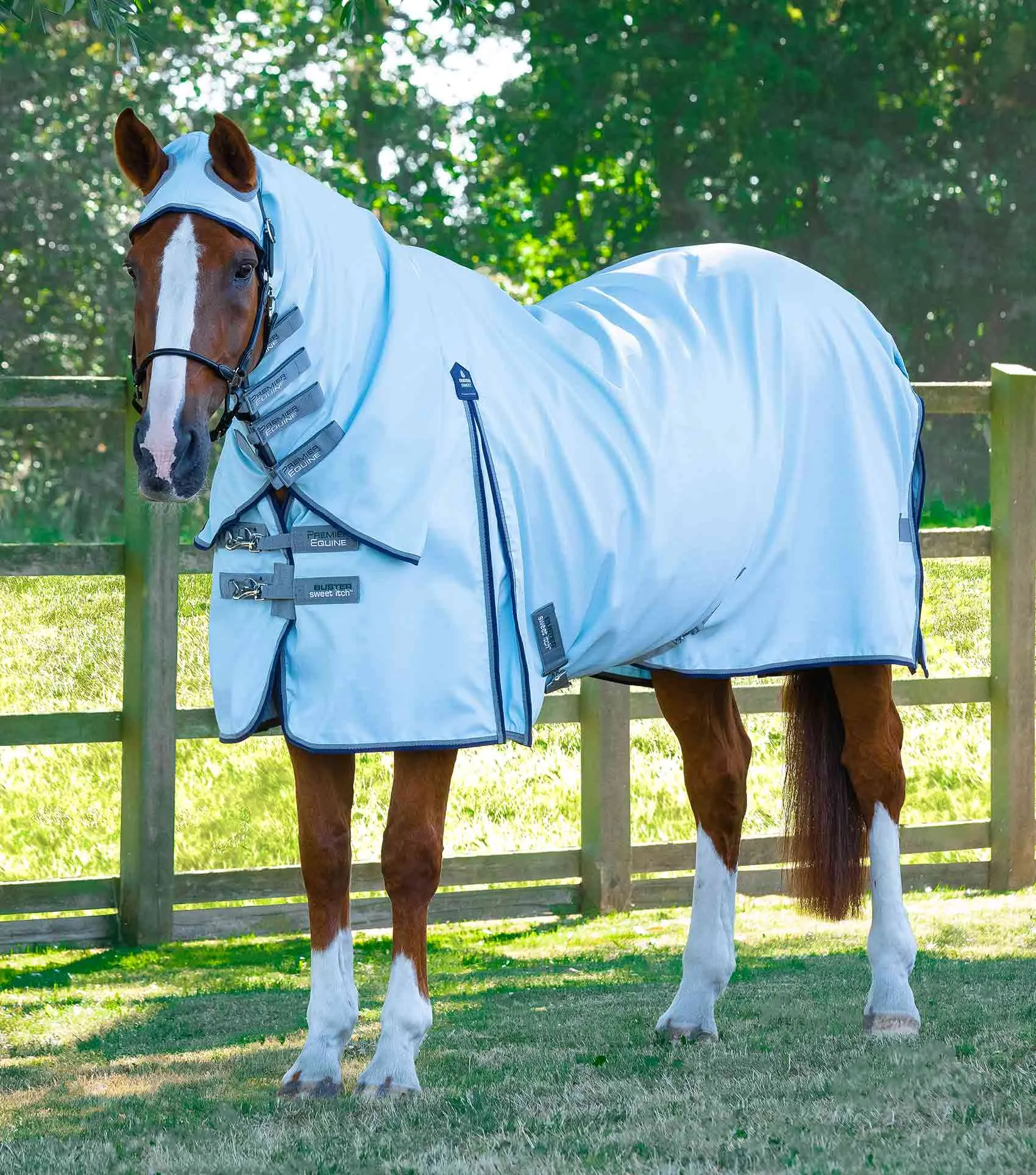 Buster Sweet Itch Fly Rug with Surcingles Blue