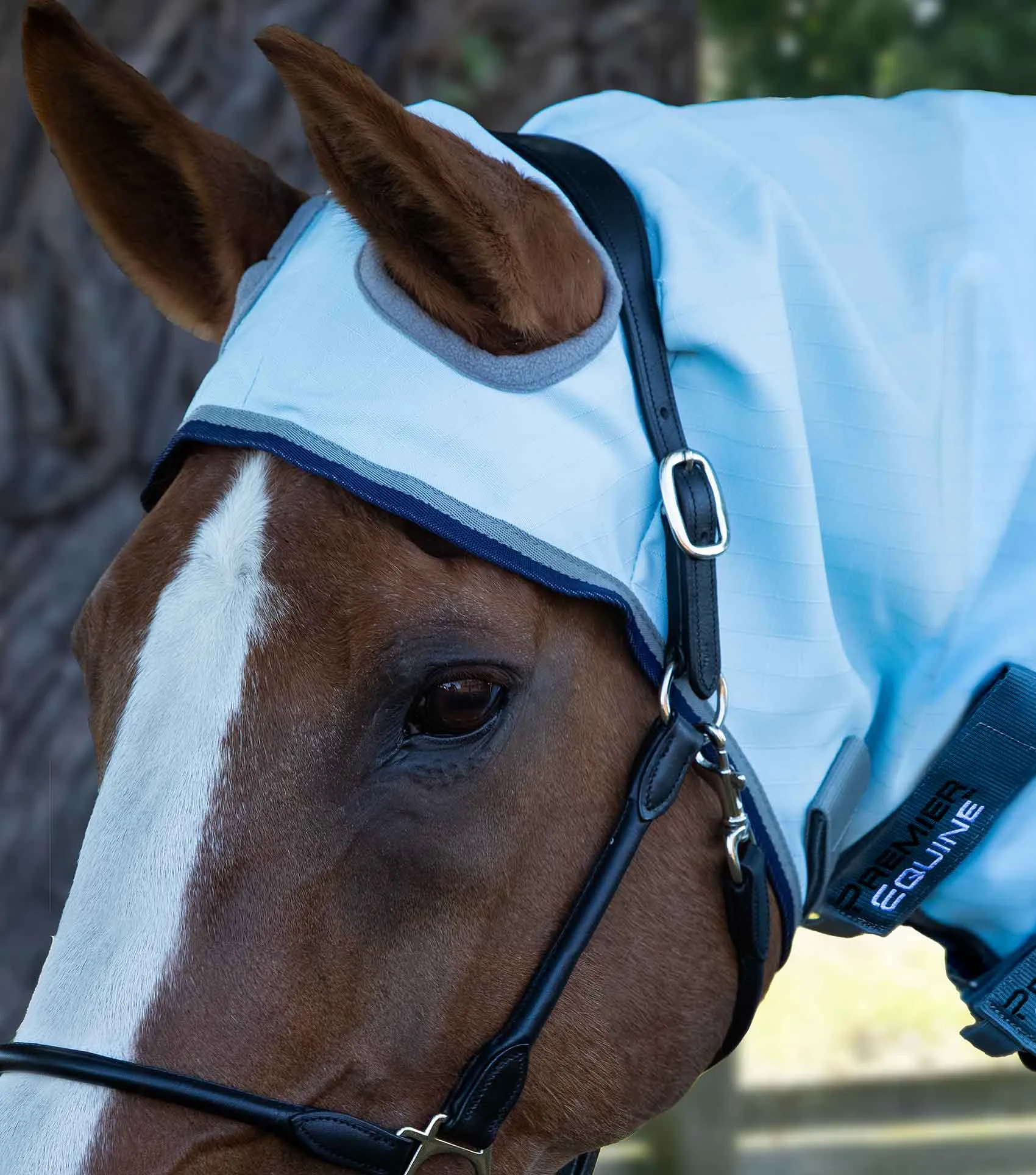 Buster Sweet Itch Fly Rug with Surcingles Blue